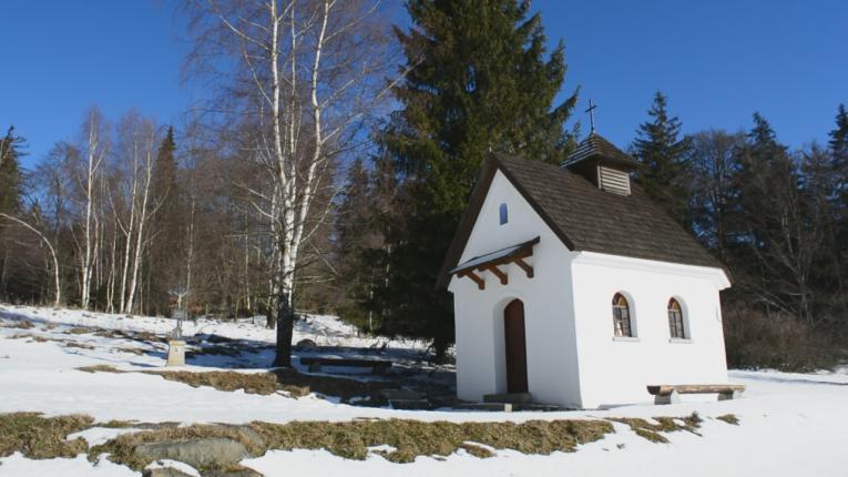 Branišov