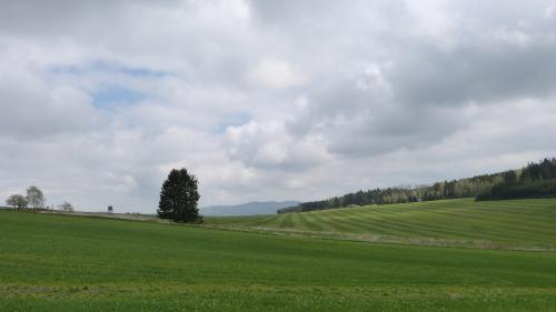 Vandrovníček ze Kdyně | 10. vycházka | Hájecké rybníky - Studánky - Bělohrad - Kout na Šumavě | 3. 5. 2023