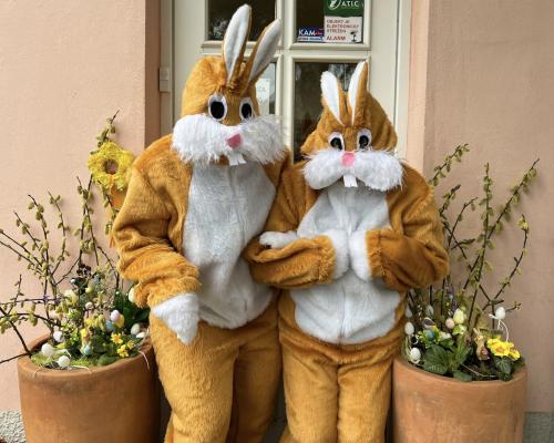 VELIKONOČNÍ ZAJÍČKOVÉ ZOUBEK A OUŠKO